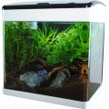 AQUA NOVA NT-32 WHITE+B Akwarium Zestaw LED 32L