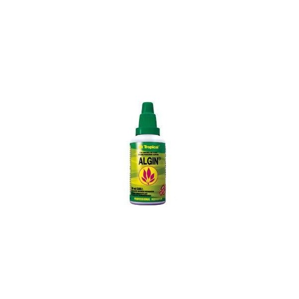 ALGIN Przeciw Glonom 500ml Chemia Akwarystyczna