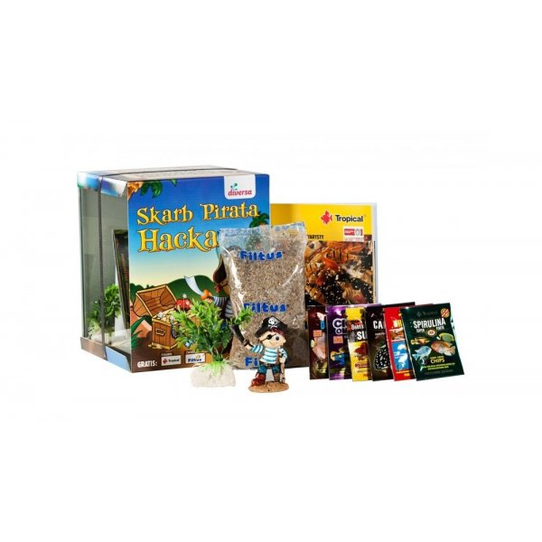 Zestaw Diversa SKARB PIRATA 10L.