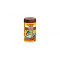 SERA VIPAN 250ml Pokarm podstawowy