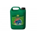 Tetra Pond AlgoFREE 1L Uzupełnienie Na zieloną wod