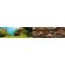 JUWEL POSTER S 60x30 Fototapeta z efektem 3D