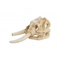 Ozdoba CZASZKA MAMUTA 11,5 cm