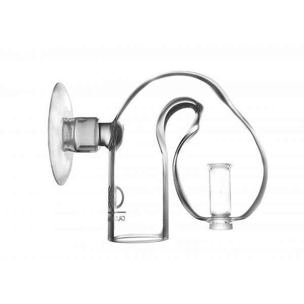 CAL Oracle CO2 Checker
