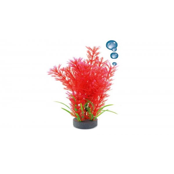 Roślina HAP 20cm Ludwiga4 napowietrzająca