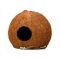 JBL COCOS GROTA 3/4