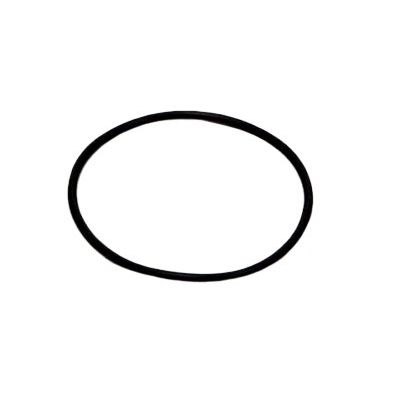 JBL CZĘŚĆ CP 120/250 USZCZELKA DO FILTRA