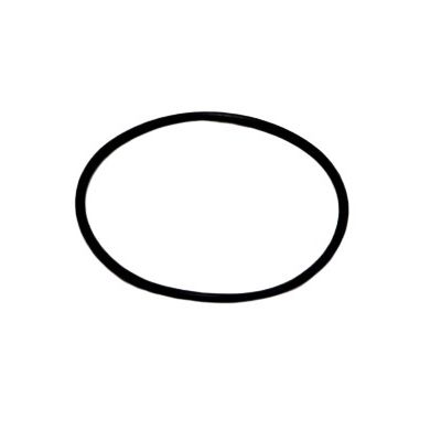 JBL CZĘŚĆ CP 500 USZCZELKA POKRYWY WIRNIKA FILTRA