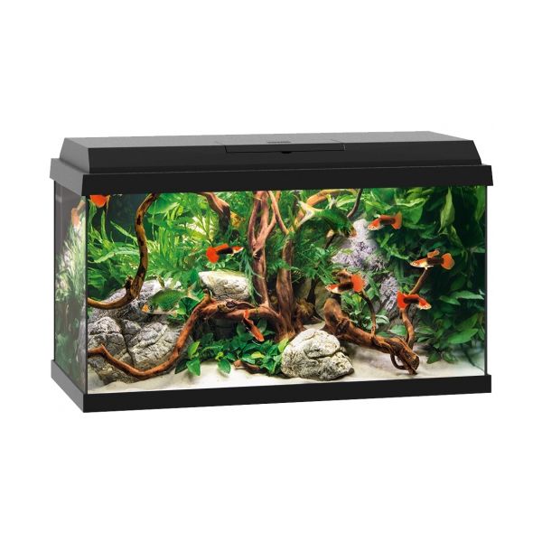 JUWEL PRIMO 60 Zestaw czarny akwarium LED
