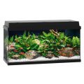 JUWEL PRIMO 110 Zestaw czarny akwarium LED