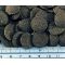 HIKARI ALGAE WAFERS 1 KG POKARM DLA GLONOJADÓW