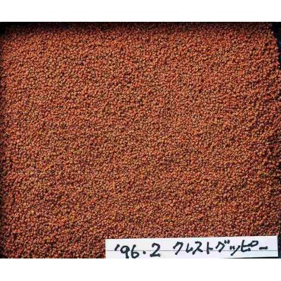 HIKARI FANCY GUPPY 1 KG POKARM DLA GUPIKÓW