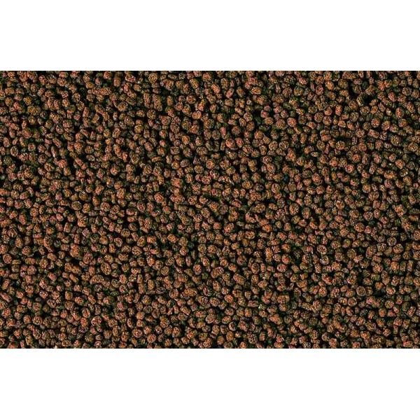 HIKARI MARINE-S 1KG POKARM DLA RYB SŁONOWODNYCH