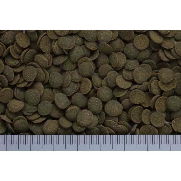 HIKARI MINI ALGAE WAFERS 1KG POKARM DLA RYB