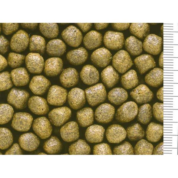 HIKARI SAKI R MULTI SEASON FLOATING L 15 KG POKARM