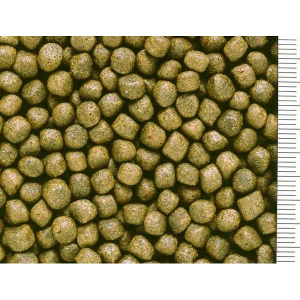 HIKARI SAKI R MULTI SEASON FLOATING M 15 KG POKARM