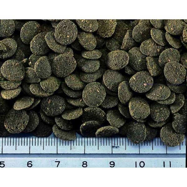 HIKARI SINKING WAFERS 1 KG POKARM DLA RYB