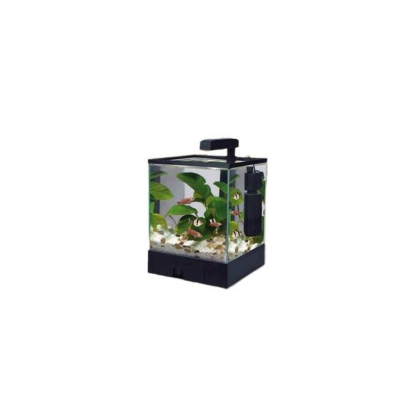 IKOLA AKWARIUM AQUA BOX 17 L BLACK