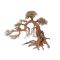 IKOLA KORZEN BONSAI S WYS 15-18/ DŁ 20-22