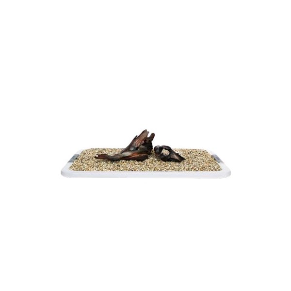 IKOLA KORZEN DRIFTWOOD S 24-29CM
