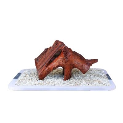 IKOLA KORZEN MANGROWY DRIFTWOOD