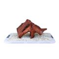 IKOLA KORZEN MANGROWY DRIFTWOOD