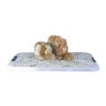 IKOLA SKAŁA DESERT ROCKS OZDOBA AKWARYSTYCZNA
