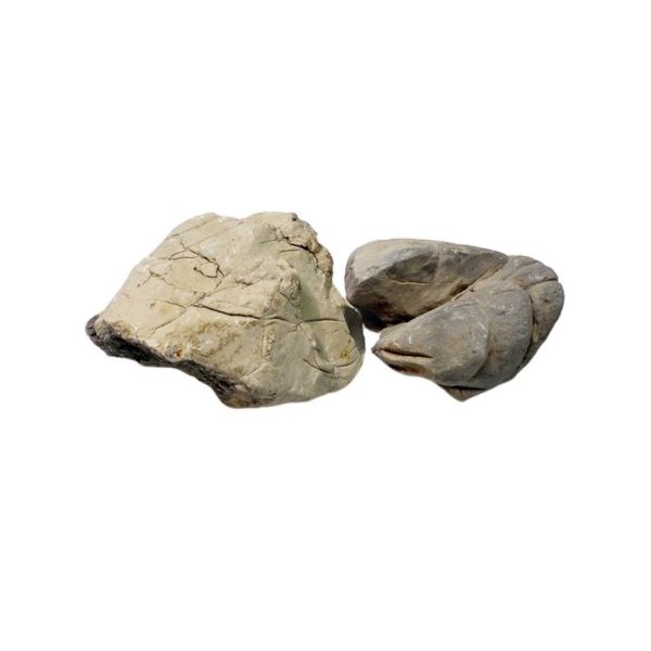 IKOLA SKAŁA SHELL VEIN ROCK GREY OZDOBA AKWARIOWA