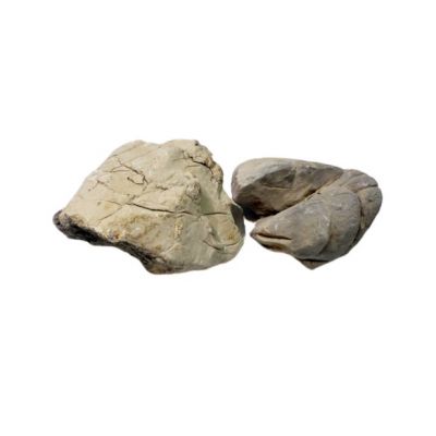 IKOLA SKAŁA SHELL VEIN ROCK GREY OZDOBA AKWARIOWA