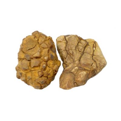 IKOLA SKAŁA SHELL VEIN ROCK YELLOW OZDOBA