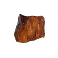 IKOLA SKAŁA WOOD FOSSIL OZDOBA AKWARIOWA