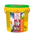 SERA GOLDY COLOR SPIRULINA 10L DLA ZŁOTYCH RYBEK