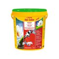 SERA KOI COLOR LARGE 21L GRANULAT POKARM KOI