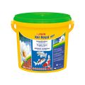 SERA KOI ROYAL MINI 3800ML POKARM DLA KOI