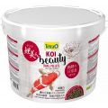 Tetra KOI Beauty Small 10 L Pokarm dla ryb