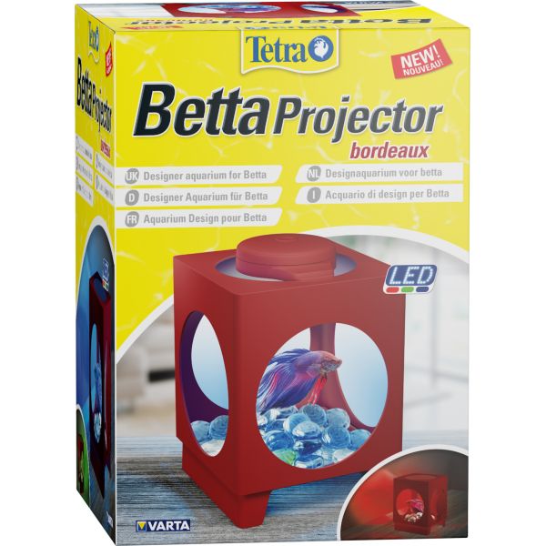 Tetra Betta Projector bordeaux 1,8 l - akwarium kol. bordowy