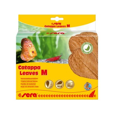SERA LIŚCIE MIGDAŁECZNIKA CATAPPA LEAVES M 10SZT