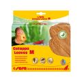 SERA LIŚCIE MIGDAŁECZNIKA CATAPPA LEAVES M 10SZT