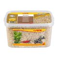 SERA GRAVEL BEIGE ŻWIREK DO AKWARIUM BEŻOWY 6L