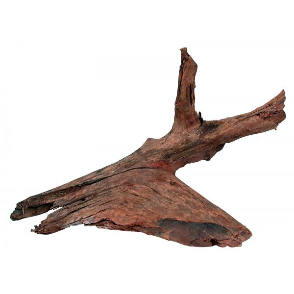 ZOLUX Korzeń Mangrowca 25-40 cm