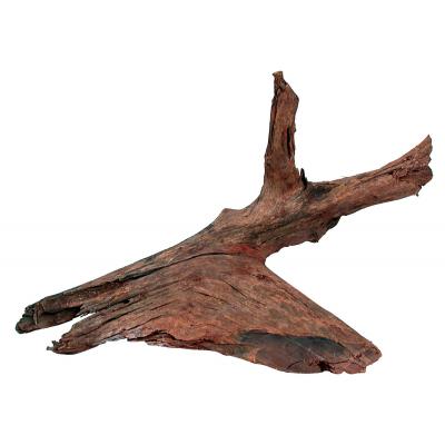ZOLUX Korzeń Mangrowca 25-40 cm