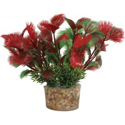 ZOLUX Roślina mała czerwona