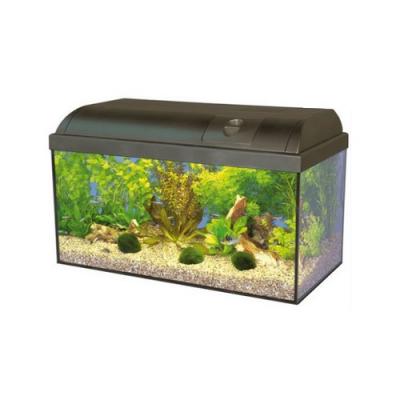 MARINA BASIC 54 60X30CM LED 6W AKWARIUM HAGEN