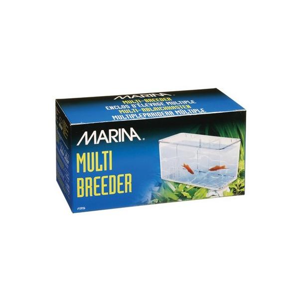MARINA MULTI-BREEDER KOTNIK 5 KOMÓR HAGEN