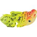 ZOLUX Dekoracja SweetyFish Phospho Rybka Butterfly