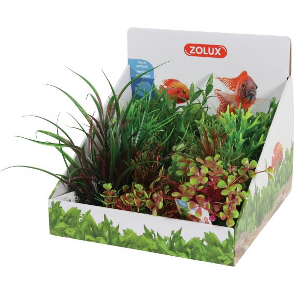 ZOLUX Display roślin M 6 szt. - zestaw A