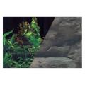 ZOLUX Tło dwustronne 60 x 120 cm rośliny czar./skała