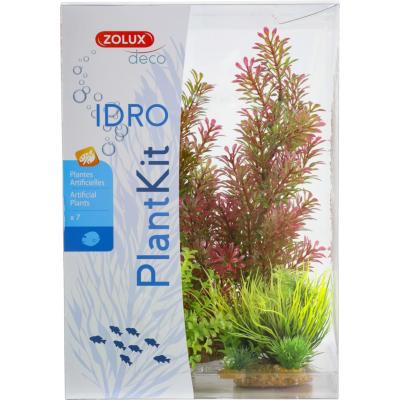 ZOLUX PLANTKIT IDRO N°1 Roślinki do akwarium