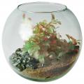ZOLUX Akwarium kula 5l