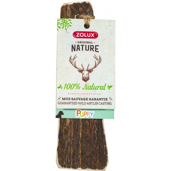 ZOLUX Poroże jelenia PUPPY oszlifowane krawędzie
